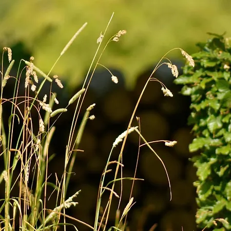 Le Veenbahn Apartament