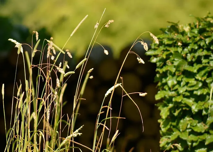 Le Veenbahn Apartamento